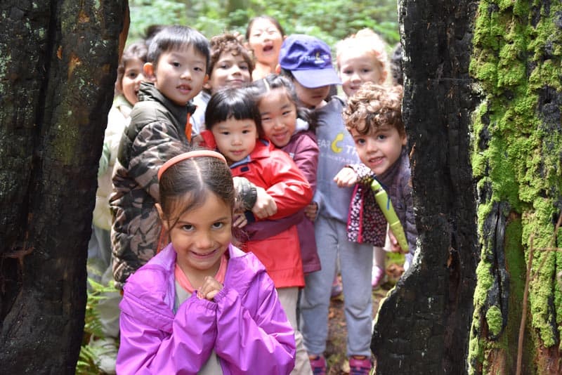 Kindergarten to Grade 1