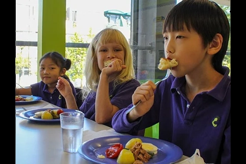 Learning outcome image